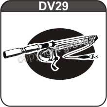 DV29